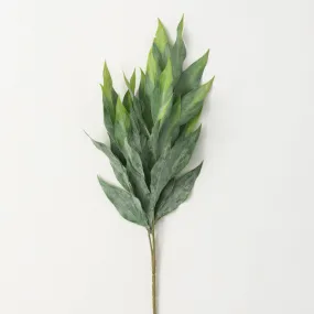 28"H Sullivans Frosted Green Leafy Stem, Green