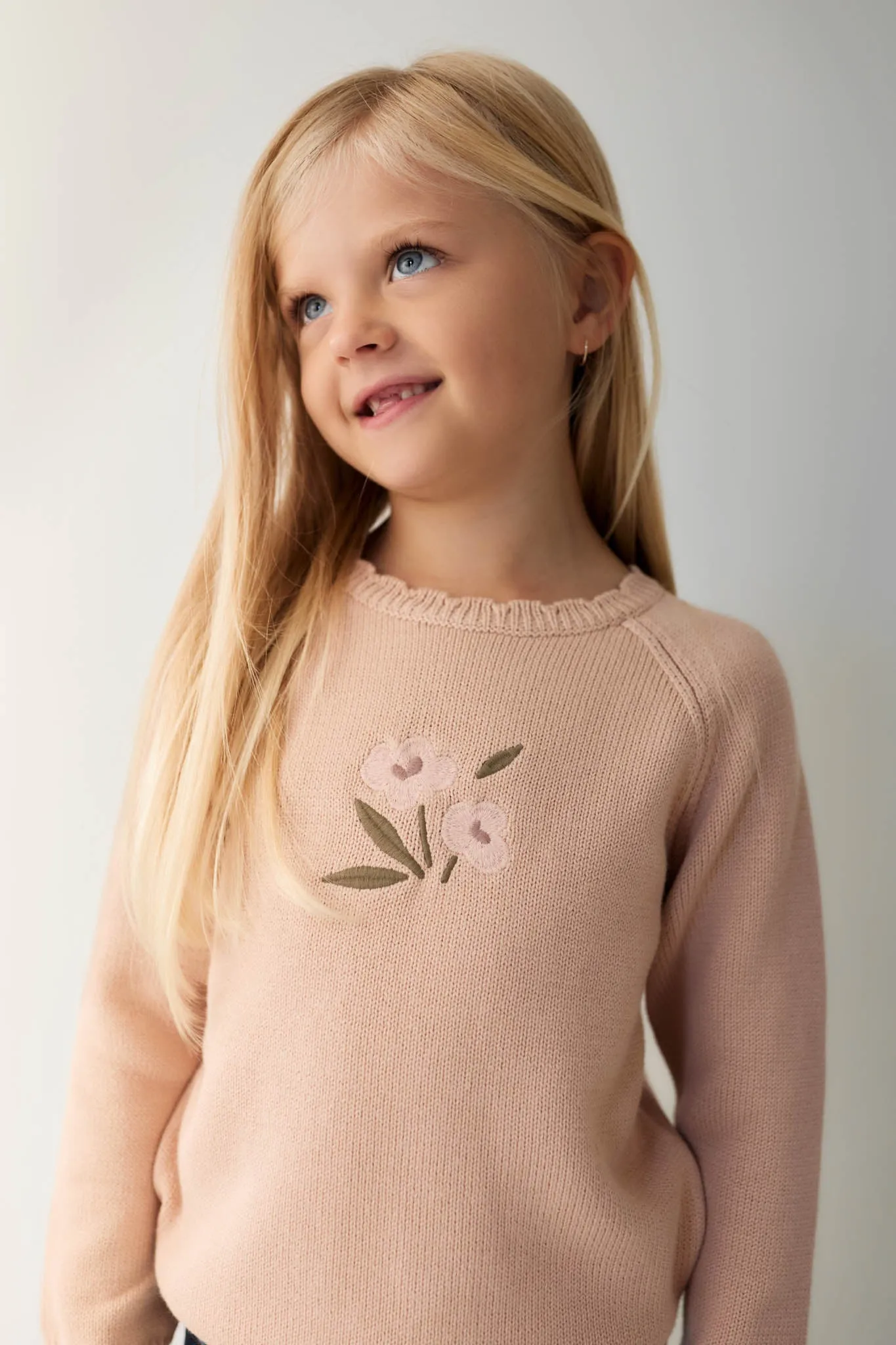 Audrey Knitted Jumper - Dusky Rose Petite Goldie