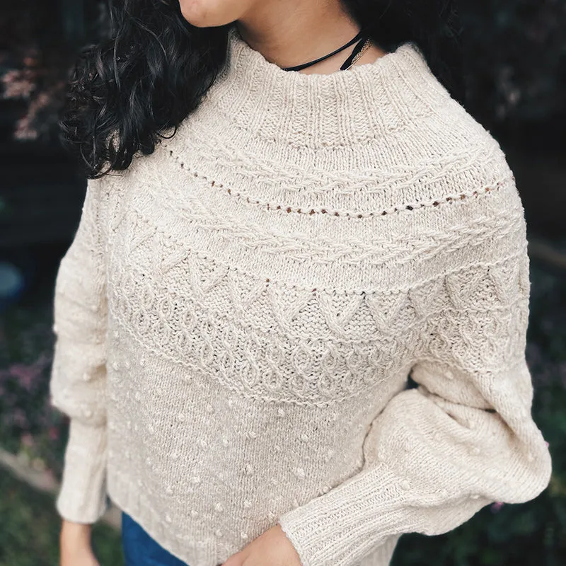 Bretema sweater kit