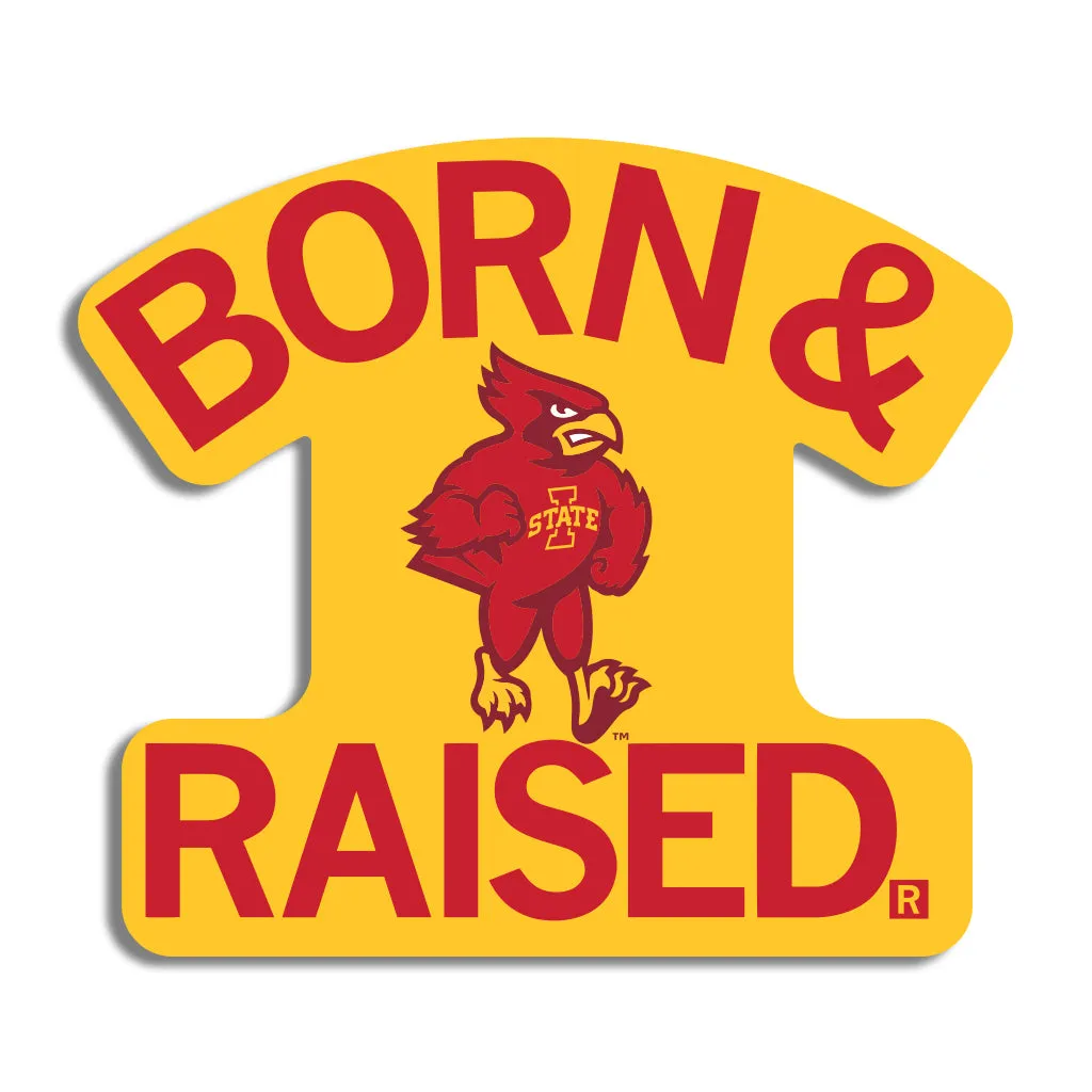 Cyclones Born & Raised Die-Cut Sticker