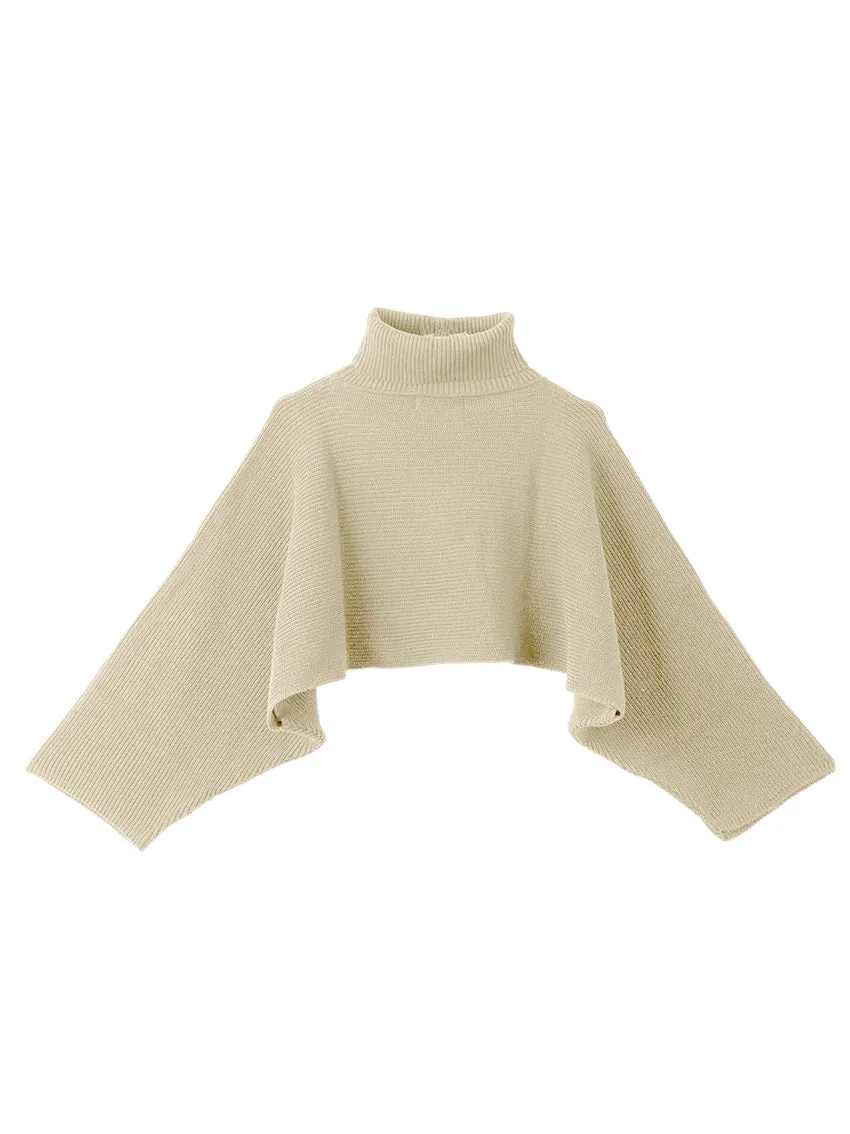 Fonda Turtle Sweater