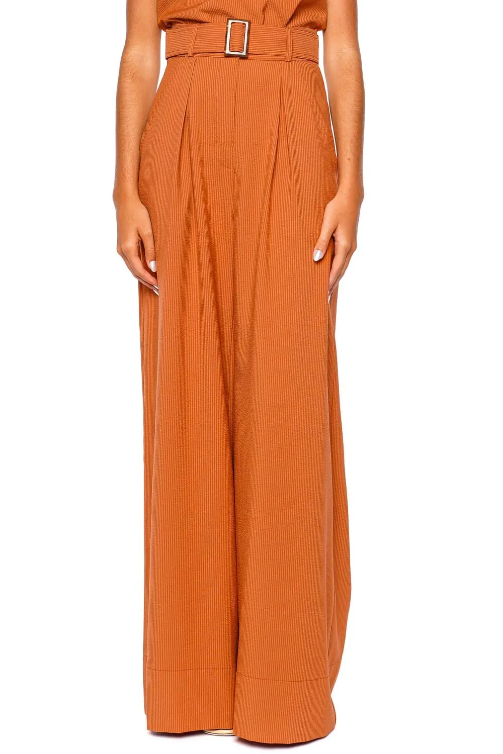 Pumpkin Seersucker Wide Leg Pleated Pant